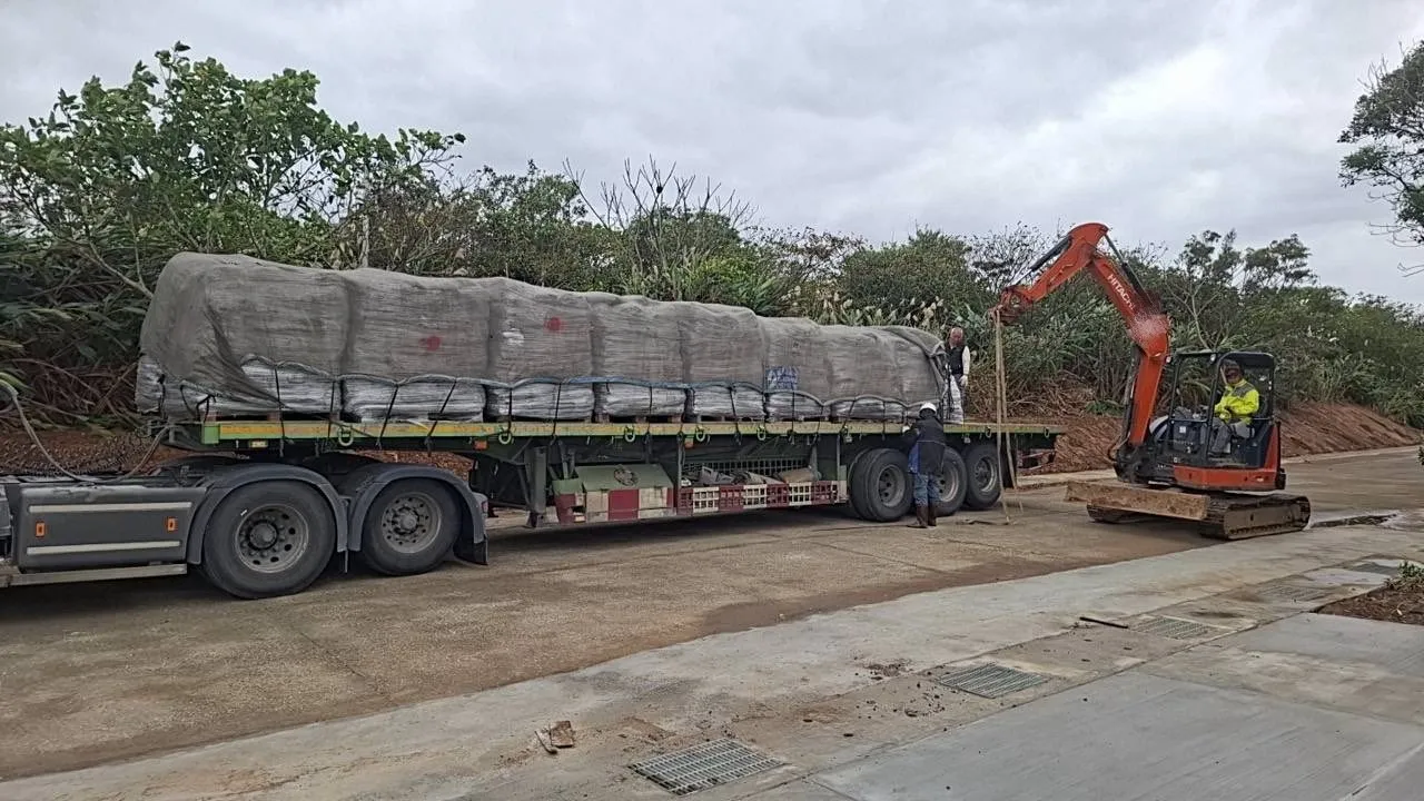 草皮捲運送至金山營區現場