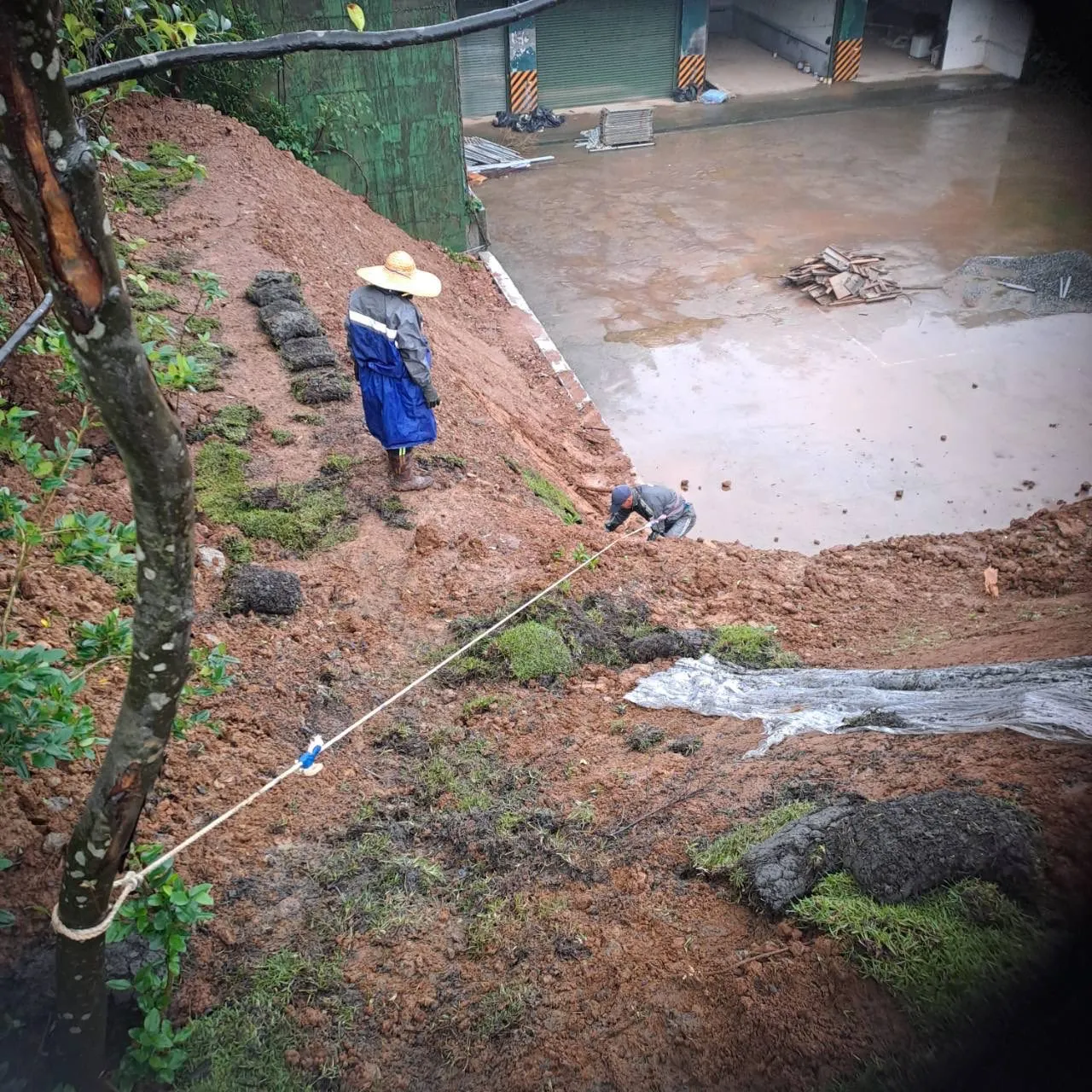 新北金山營區斜坡草皮施工