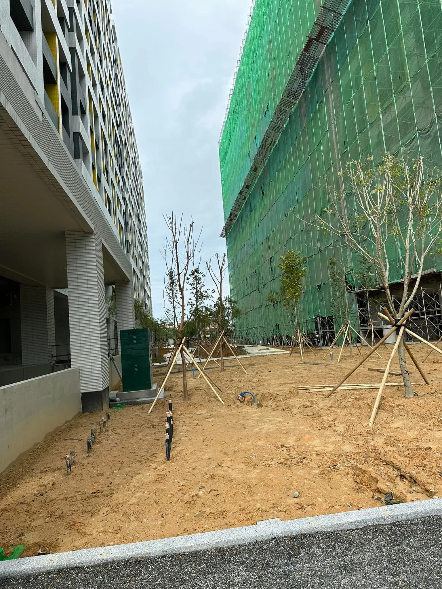 建案庭院土壤整平待植草