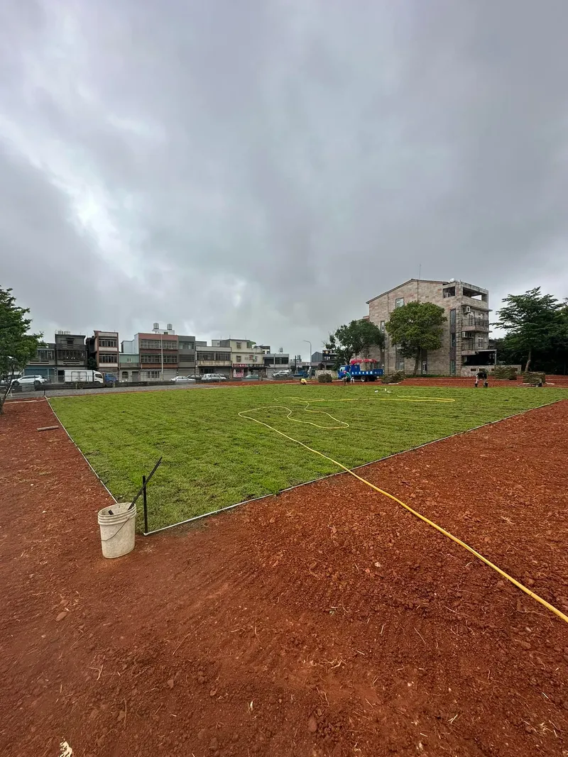 草皮鋪植後 — 翠綠平整的天然草坪