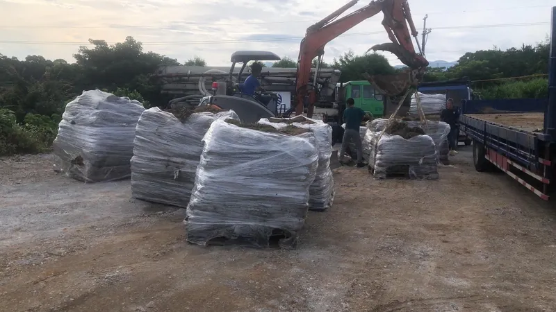 百慕達草運動場