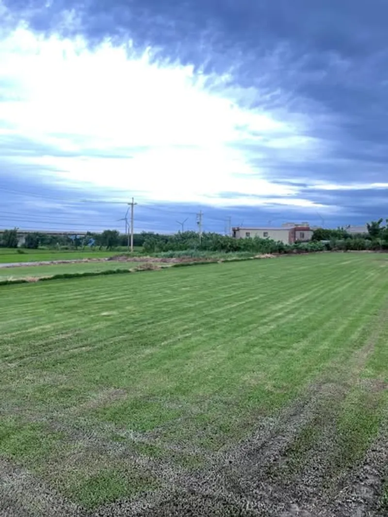 天然草皮批發銷售